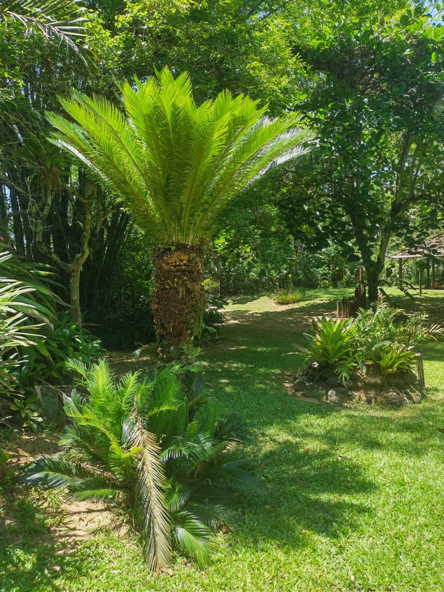 Flats Do Felix Apartman Ubatuba Kültér fotó